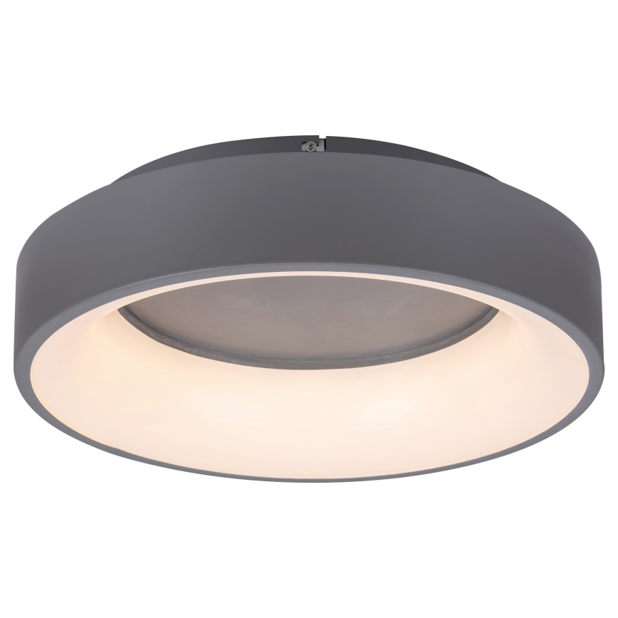 Rabalux - LED Dimmable ceiling light LED/24W/230V round 3000-6000K + remote control
