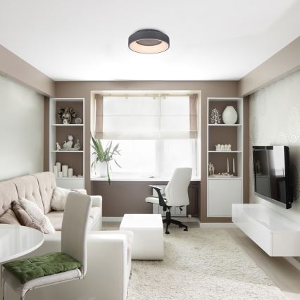 Rabalux - LED Dimmable ceiling light LED/24W/230V round 3000-6000K + remote control