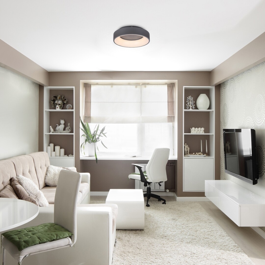 Rabalux - LED Dimmable ceiling light LED/24W/230V round 3000-6000K + remote control