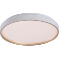 Rabalux - LED Dimmable Ceiling Light LED/34W/230V 3000-6500K Ø 38 cm + remote control