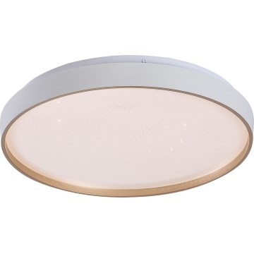 Rabalux - LED Dimmable Ceiling Light LED/34W/230V 3000-6500K Ø 38 cm + remote control
