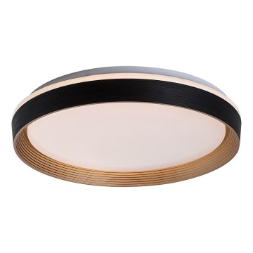 Rabalux - LED Dimmable ceiling light LED/48W/230V 3000-6500K + remote control