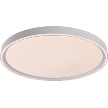 Rabalux - LED Dimmable Ceiling Light LED/54W/230V IP40 3000–6500K Ø 52 cm + Remote Control
