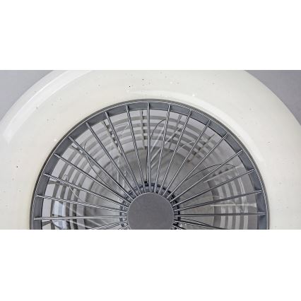 Rabalux - LED Dimmable ceiling light with a fan LED/30W/230V 3000-6500K + remote control