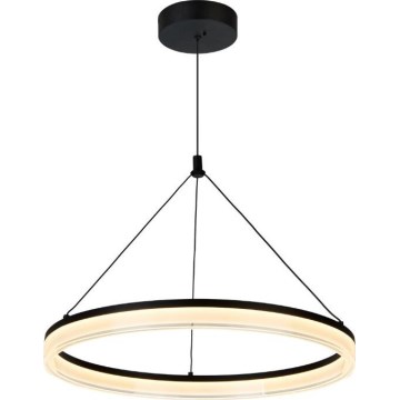 Rabalux - LED Dimmable Pendant Light on Cable LED/24W/230V 3000-6500K + Remote Control