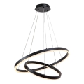 Rabalux - LED Dimmable Pendant Light on Cable LED/80W/230V 3000-6500K + remote control