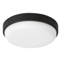 Rabalux - LED Outdoor ceiling light LED/14W/230V IP54 black