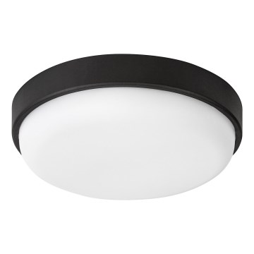 Rabalux - LED Outdoor ceiling light LED/14W/230V IP54 black