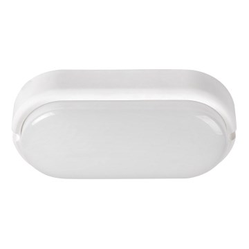 Rabalux - LED Outdoor ceiling light LED/15W/230V IP54 white