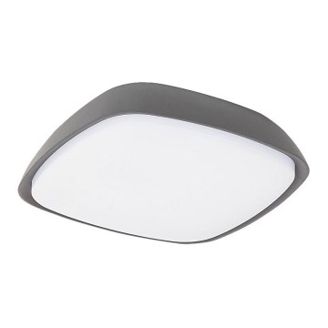 Rabalux - LED Outdoor ceiling light LED/20W/230V IP65
