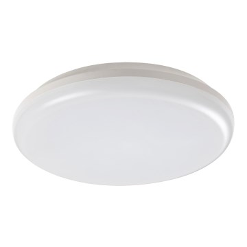 Rabalux - LED Outdoor ceiling light LED/24W/230V IP64