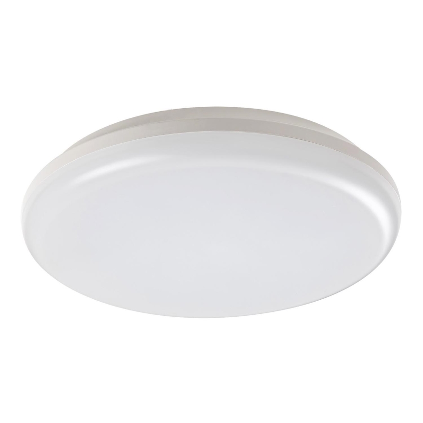 Rabalux - LED Outdoor ceiling light LED/24W/230V IP64
