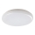 Rabalux - LED Outdoor ceiling light LED/24W/230V IP64