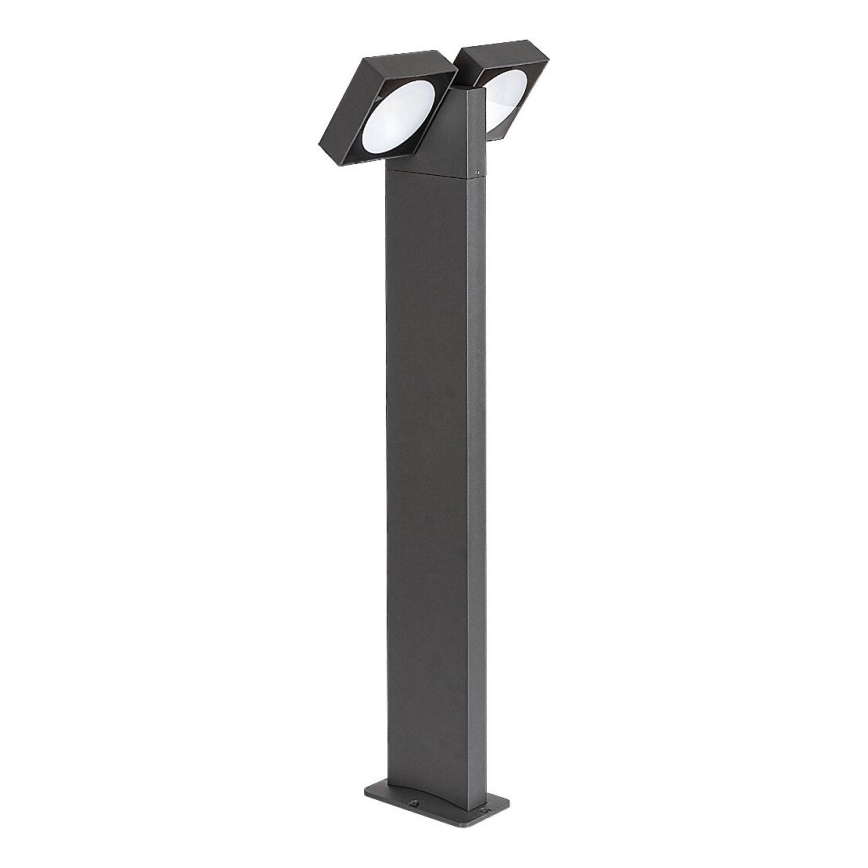 Rabalux - LED Outdoor flexible lamp 2xLED/7W/230V IP54 anthracite