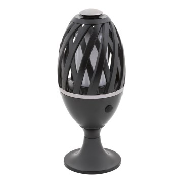 Rabalux - LED Outdoor light LED/5W/with rechargeable USB battery IP65