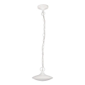 Rabalux - LED Outdoor pendant light 1xLED/6W