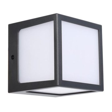 Rabalux - LED Outdoor wall light LED/10W/230V IP54 anthracite