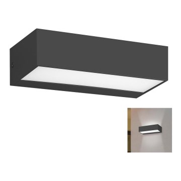 Rabalux - LED Outdoor wall light LED/10W/230V IP65