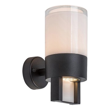 Rabalux - LED Outdoor wall light LED/12W/230V IP44
