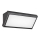 Rabalux - LED Outdoor wall light LED/12W/230V IP54