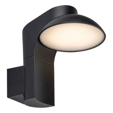 Rabalux - LED Outdoor wall light LED/12W/230V IP54