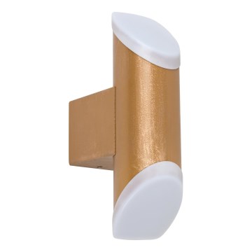 Rabalux - LED Outdoor wall light LED/6W/230V IP44 270lm 3000K