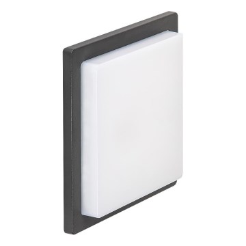 Rabalux - LED Outdoor wall light LED/8W/230V IP65