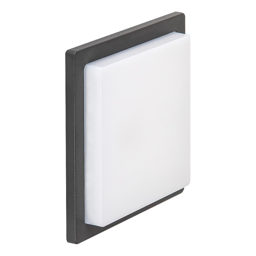 Rabalux - LED Outdoor wall light LED/8W/230V IP65