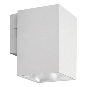 Rabalux - LED Outdoor wall light LED/9W/230V 2700/4000/6500K IP65 white