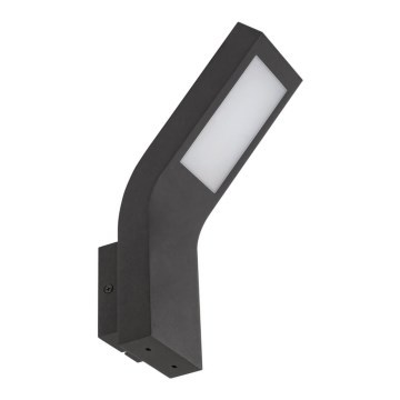 Rabalux - LED Outdoor wall light LED/9W/230V IP44