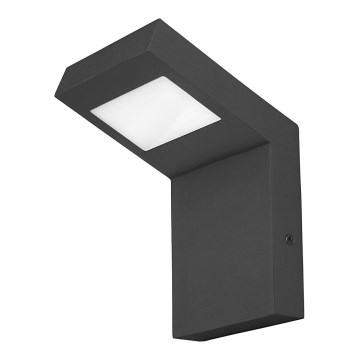 Rabalux - LED Outdoor wall light LED/9W/230V IP44
