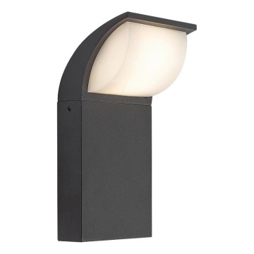 Rabalux - LED Outdoor wall light LED/9W/230V IP65