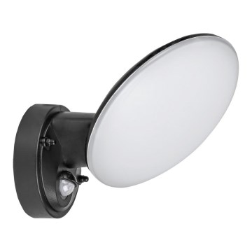 Rabalux - LED Outdoor wall light with a sensor LED/12W/230V IP54