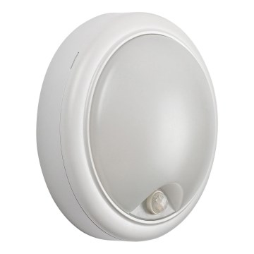Rabalux - LED Outdoor wall light with a sensor LED/15W/230V IP54