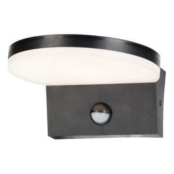 Rabalux - LED Outdoor wall light with a sensor LED/9W/230V 2700/4000/6500K IP54 black