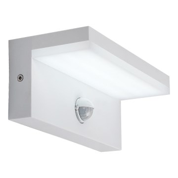 Rabalux - LED Outdoor wall light with a sensor LED/9W/230V 2700/4000/6500K IP54 white