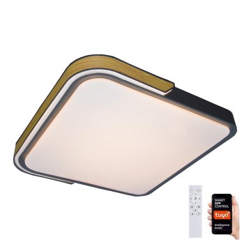 Rabalux - LED RGB Dimmable ceiling light LED/48W/230V 3000K/4000K/6500K Wi-Fi Tuya + remote control