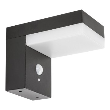 Rabalux - LED Solar light with a sensor LED/6W/3,7V IP44