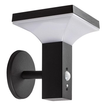 Rabalux - LED Solar wall light with sensor LED/4W/230V IP44 black