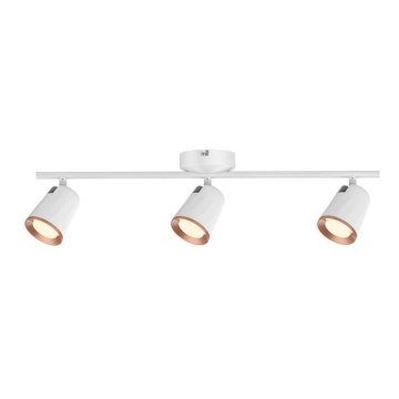 Rabalux - LED Spotlight 3xLED/6W/230V