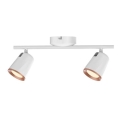 Rabalux - LED Spotlight SOLANGE 2xLED/6W/230V