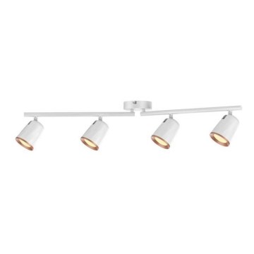 Rabalux - LED Spotlight SOLANGE 4xLED/6W/230V