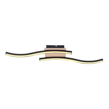 Rabalux - LED Surface-mounted chandelier 2xLED/12W/230V