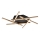 Rabalux - LED Surface-mounted chandelier LED/40W/230V 3000K