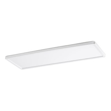 Rabalux - LED Surface mounted panel LED/22W/230V