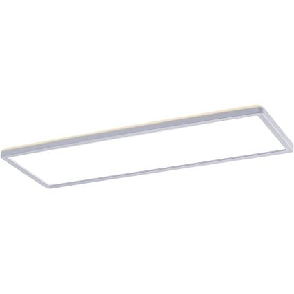 Rabalux - LED Surface mounted panel LED/22W/230V
