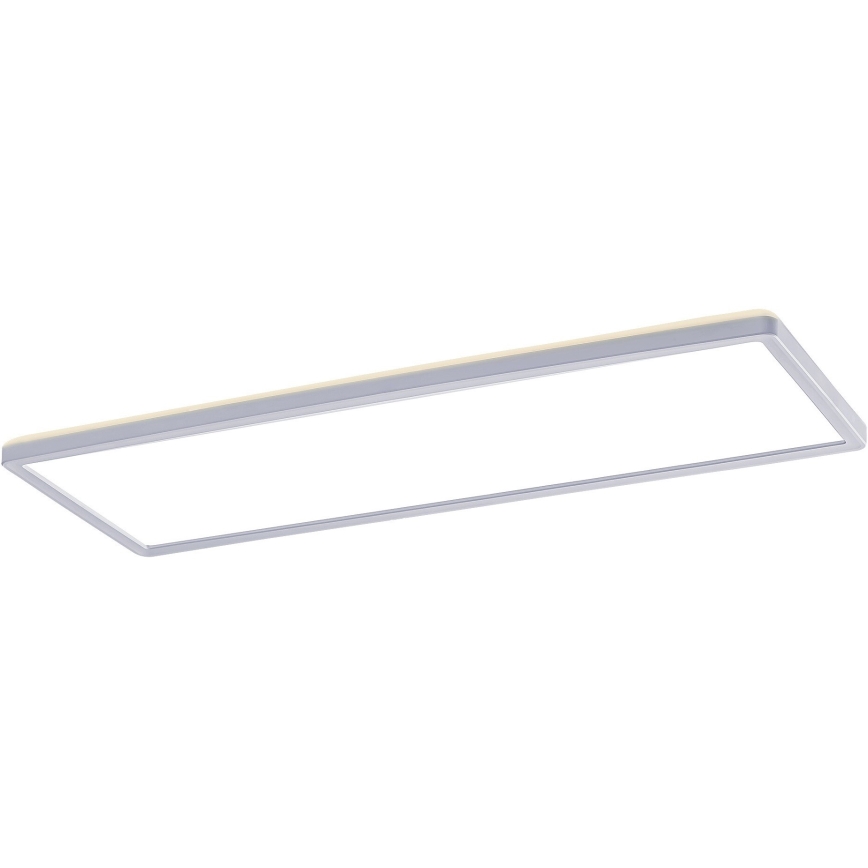 Rabalux - LED Surface mounted panel LED/22W/230V