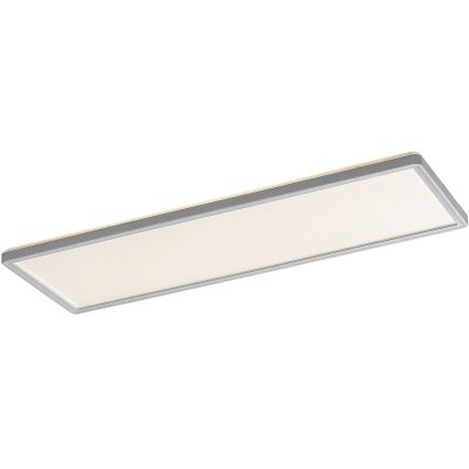 Rabalux - LED Surface mounted panel LED/22W/230V