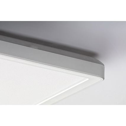 Rabalux - LED Surface mounted panel LED/22W/230V