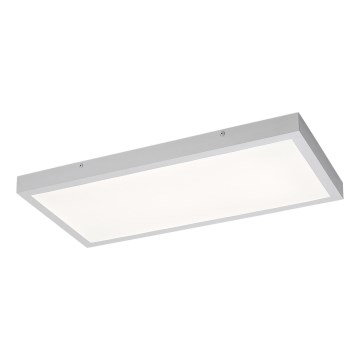 Rabalux - LED Surface-mounted panel LED/24W/230V 4000K 60x30 cm